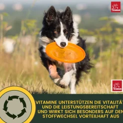 EMMA Multi Vitamine + Vitamin B-Komplex für Hunde, Tropfen 100ml