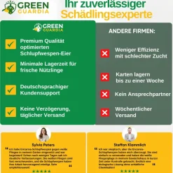 Encarsia Schlupfwespen gegen weiße Fliege