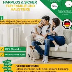 Encarsia Schlupfwespen gegen weiße Fliege