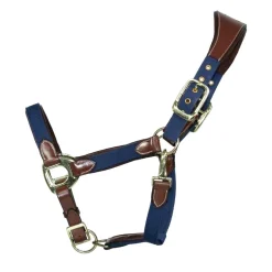 EQuest Halfter Unique für Pferde - Messing Finish, Cognac/Navy - L Warmblut