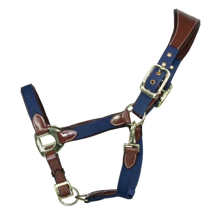 EQuest Halfter Unique für Pferde - Messing Finish, Cognac/Navy - L Warmblut