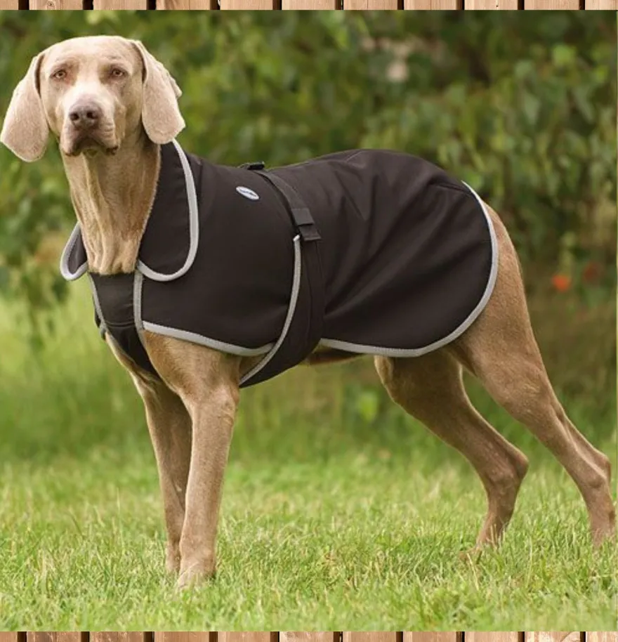 Equi Théme Softshell Hundemantel, Regenmantel, Hunde Decke Softshell, schwarz