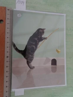 90er Jahre Grußkarten Tiere vermenschlicht Hunde Katzen Schweine Liebe Freundschaft