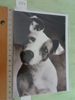 90er Jahre Grußkarten Tiere vermenschlicht Hunde Katzen Schweine Liebe Freundschaft