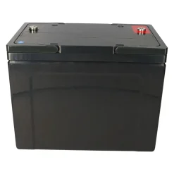 Ersatzakku für Invacare Storm 3 2x Kung Long Bleiakku KPH80-12N M6 12V 80Ah Longlife