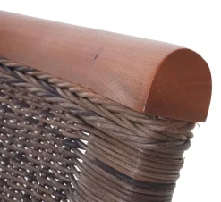 2er-Set Esszimmerstuhl Savona, Stuhl Küchenstuhl, Rattan