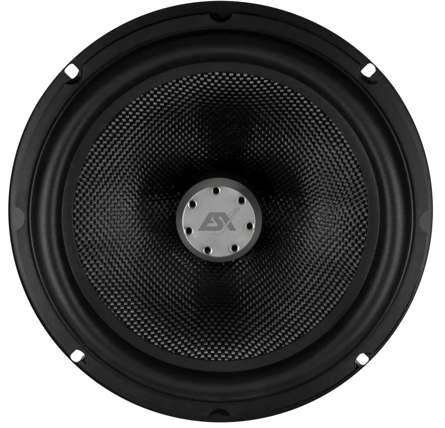 ESX Quantum Woofer-Paar Subwoofer Bass Tiefton 20 cm QXE-8.2W