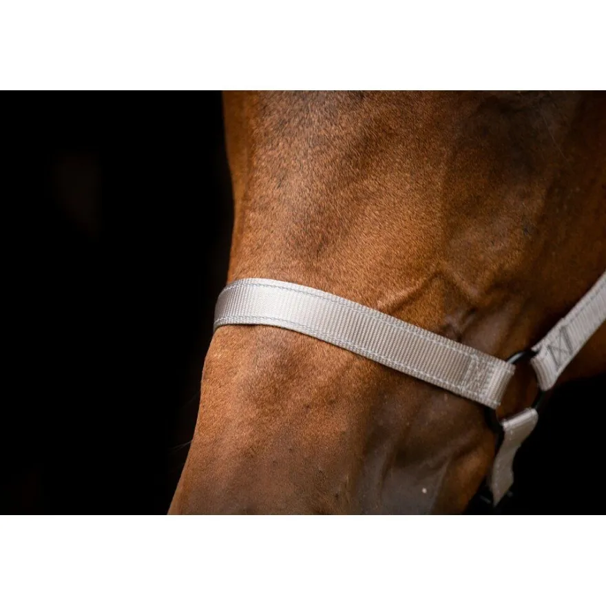 Excellent Horse Premium Halter XS Mini Foal Grau