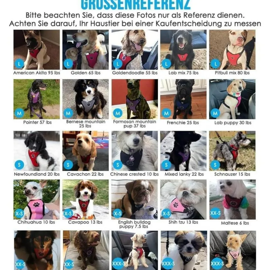 Eyein Hundegeschirr mit Sicherheitsgurt für Auto, atmungsaktiv, verstellbar