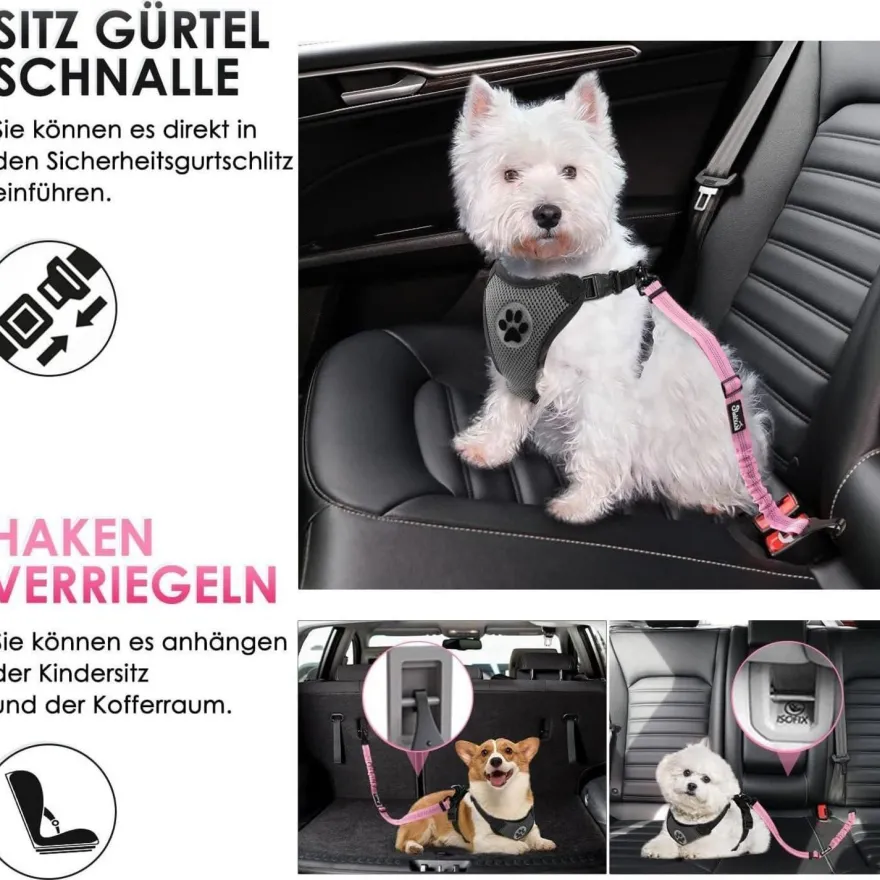 Eyein Hunde Sicherheitsgurt für Auto, verstellbar mit elastischer Ruckdämpfung