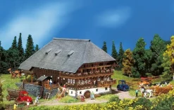 Faller Schwarzwaldhof Eisenbahn Spur N Faller 232258 Bausatz