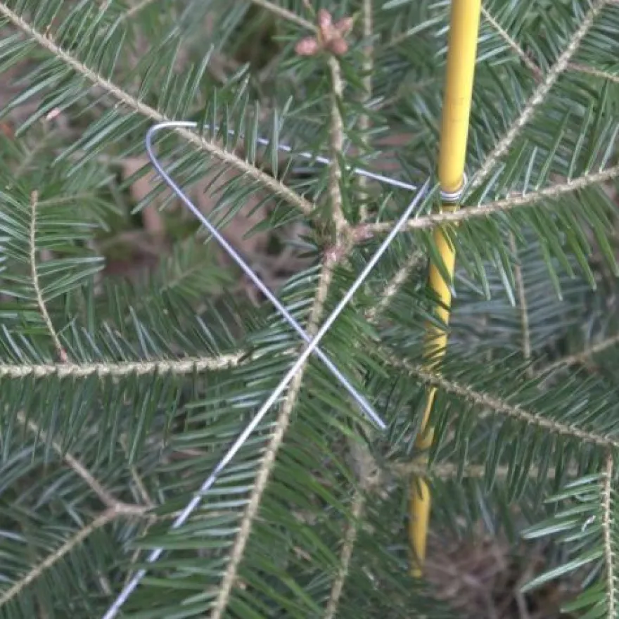 Fegeminimierung & Pflanzenhalter passend zu Markierstab aus Fiberglas