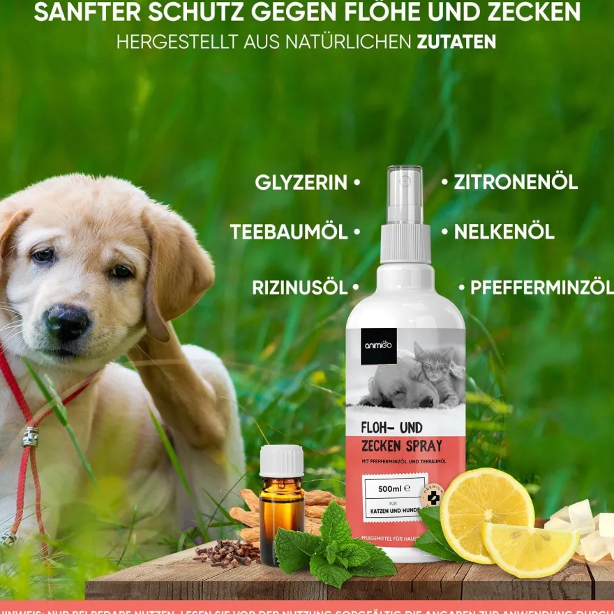 Floh & Zeckenschutz für Hunde & Katzen - 500ml Zeckenschutz mit Pfefferminz & Rizinus