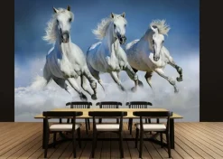 Fototapete Arabian HORSES 366x254cm Strand Schimmel weiße Pferde Galopp Araber