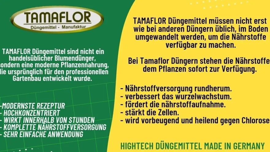 Fuchsiendünger Dünger Fuchsien , Pflanzendünger 5 Portionsbeutel für 50 l