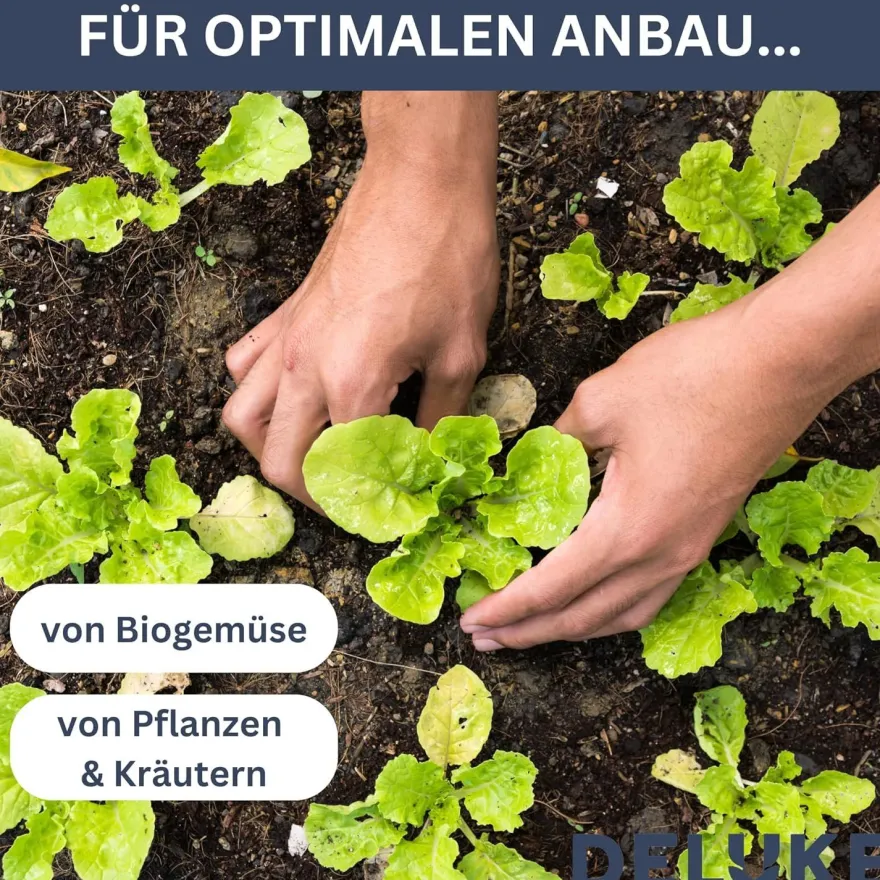 Garten Gew?chshaus klein LINA grau Stahl HxBxT 85x100x100cm Treibhaus Tomatenhaus