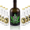 Gin Tonic Set - Breaks Cannabis Gin 50cl (42 % Vol) + 6x Thomas Henry Tonic Wat