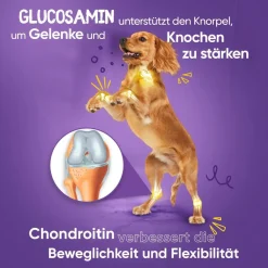 Glucosamin Chondroitin Komplex - 180 Kapseln - Mit Kurkuma, Vitamin C