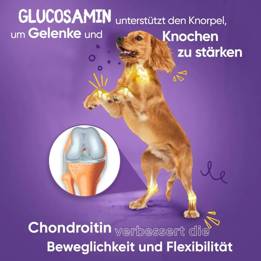 Glucosamin Chondroitin Komplex - 180 Kapseln - Mit Kurkuma, Vitamin C
