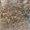 50g Moringablätter Laub Beutel für Garnelen, Welse, Krebse, Moringa Futter