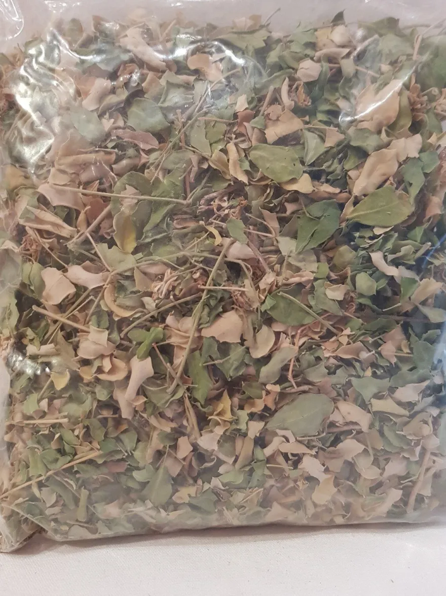 50g Moringablätter Laub Beutel für Garnelen, Welse, Krebse, Moringa Futter