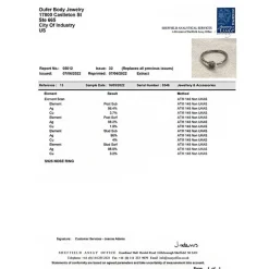 20G Nasenpiercing Silber 925 CZ Nase Stud Ring Hoop nostril piercing OUFER