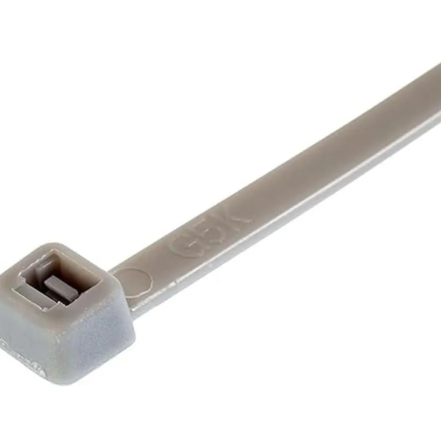 Gocableties Kabelbinder 100 Stück, 100 mm x 2,5 mm, Silber/Grau, 8,1 kg
