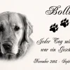 Grabplatte Grabmal Grabschmuck Tier Grabstein Hund-p11 - Fotogravur - 20 x 15 cm