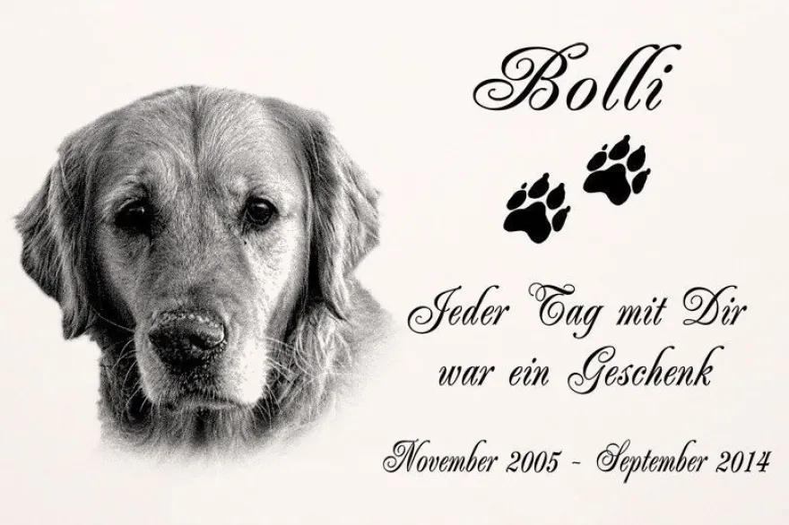 Grabplatte Grabmal Grabschmuck Tier Grabstein Hund-p11 - Fotogravur - 20 x 15 cm
