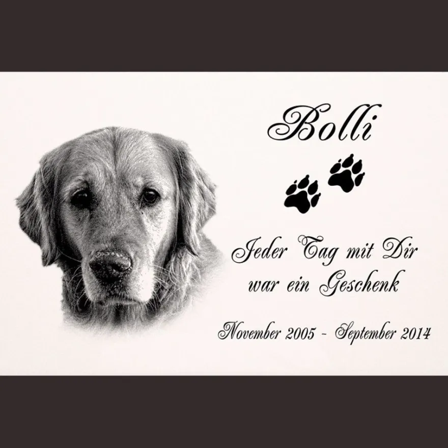 Grabplatte Grabmal Grabschmuck Tier Grabstein Hund-p11 - Fotogravur - 20 x 15 cm