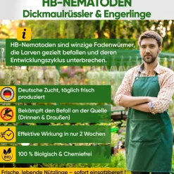 HB-Nematoden gegen gegen Dickmaulrüssler & Engerlinge