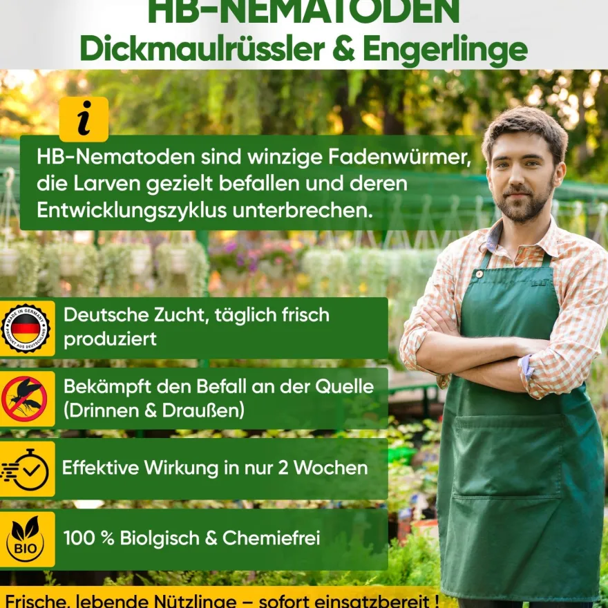 HB-Nematoden gegen gegen Dickmaulrüssler & Engerlinge