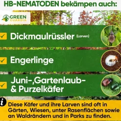 HB-Nematoden gegen gegen Dickmaulrüssler & Engerlinge