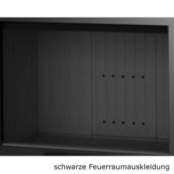 Heatro 81H Black Kamineinsatz mit Hebetür 12kW