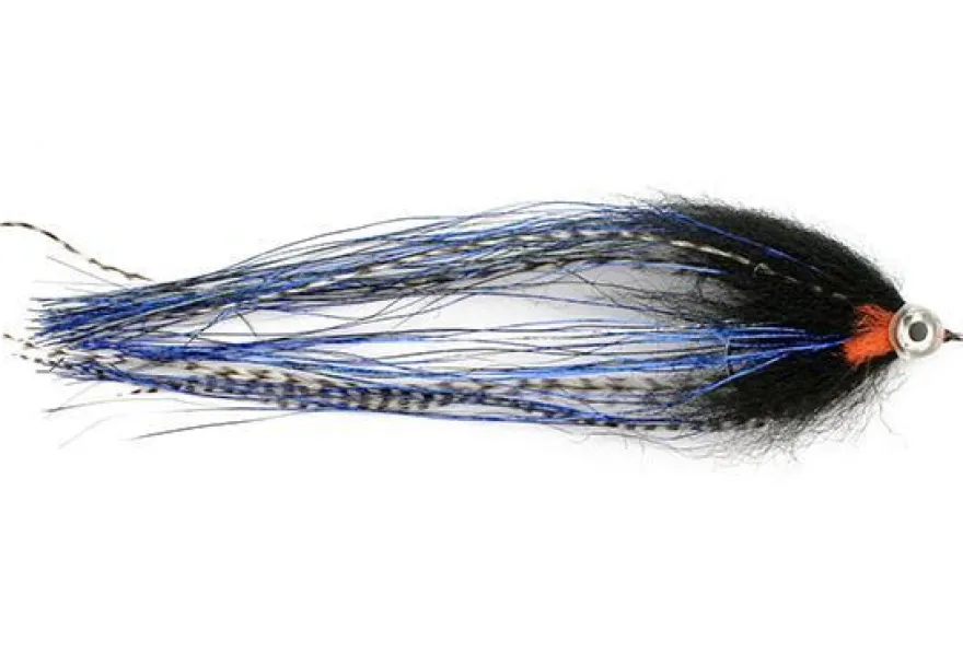 Hechtstreamer
