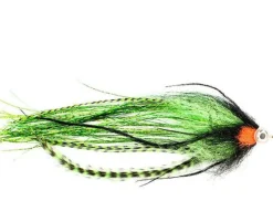 Hechtstreamer