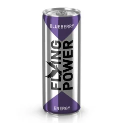 Heidelbeere Blueberry Energy Drink Flying Power Dose Österreich 250ml -