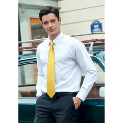 Hisdern Herren Krawatte mit Einstecktuch Set - Klassisch Plaid Hahnentritt