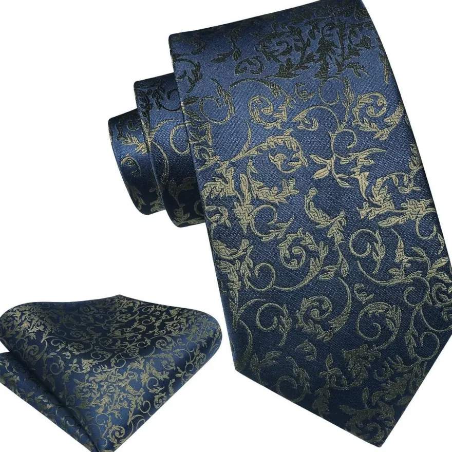 Hisdern Herren Krawatte mit Einstecktuch Set, Paisley Design, Marineblau/Braun