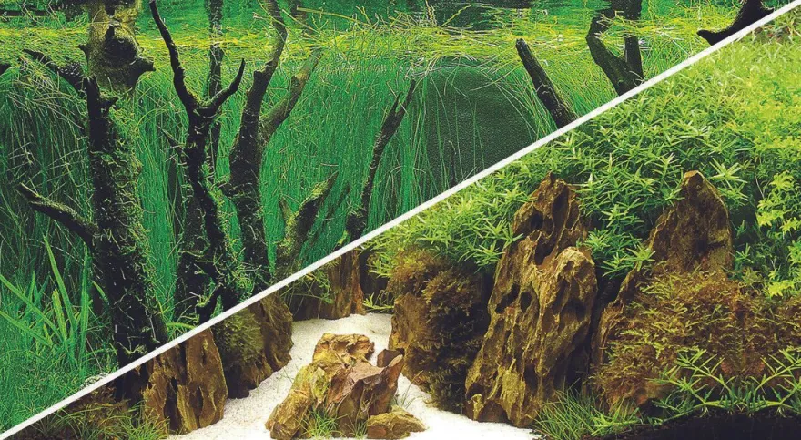 Hobby Fotorückwand Canyon / Woodland XL Rückwand 120x50cm Aquarium
