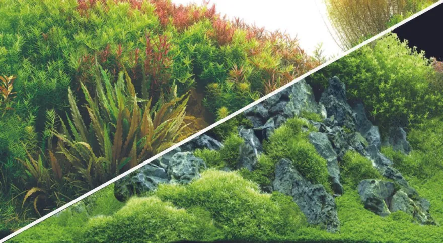 Hobby Fotorückwand Planted River / Green Rocks S Rückwand 60x30cm Aquarium TOP