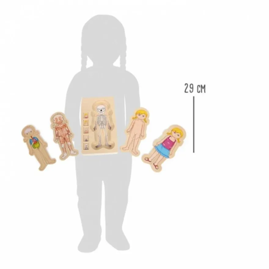 Holzpuzzle Anatomie