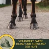 Hufpflege Set - Huföl Pferde mit Pinsel + Strahlpflege + Hufbalsam
