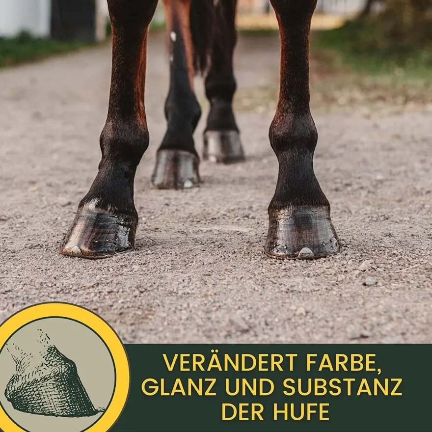 Hufpflege Set - Huföl Pferde mit Pinsel + Strahlpflege + Hufbalsam