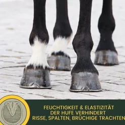 Hufpflege Set - Huföl Pferde mit Pinsel + Strahlpflege + Hufbalsam