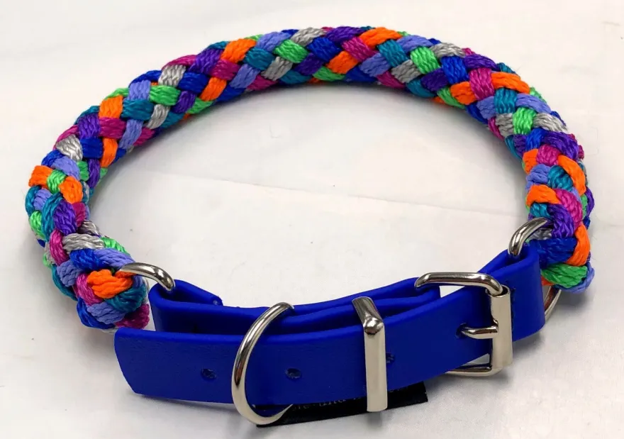 Hundeleine + Hundehalsband Florida Führleine 1-3m mit Hs und Hundehalsband S-XL