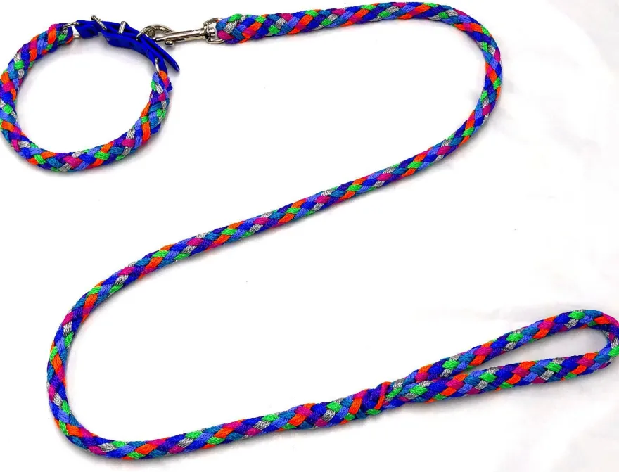 Hundeleine + Hundehalsband Florida Führleine 1-3m mit Hs und Hundehalsband S-XL