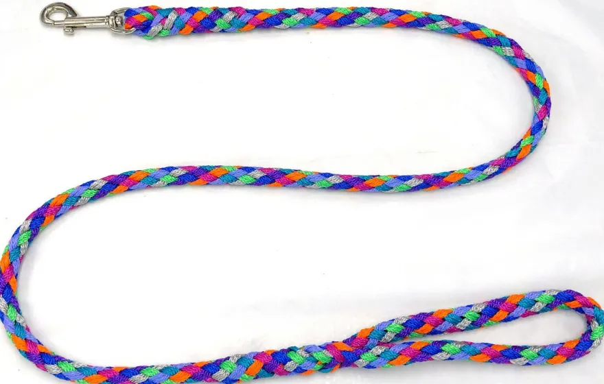 Hundeleine + Hundehalsband Florida Führleine 1-3m mit Hs und Hundehalsband S-XL