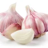 Hymor spanischer Knoblauch 16 Knollen Lila Knoblauch Ajo Morado aus Las Pedroneras
