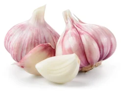 Hymor spanischer Knoblauch 16 Knollen Lila Knoblauch Ajo Morado aus Las Pedroneras